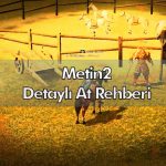 metin2 at rehberi