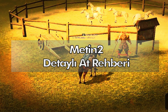 metin2 at rehberi